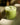 Collagen Vanilla Matcha Latte
