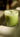 Collagen Vanilla Matcha Latte